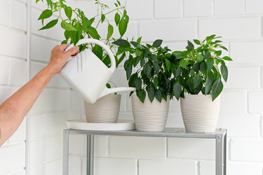 Similar image 21679635