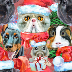 Similar image 21678043