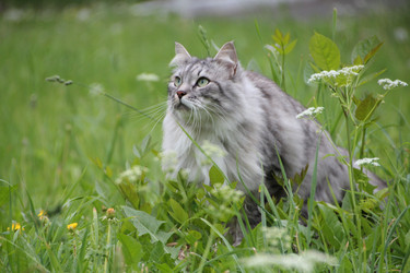 Similar image 21673867