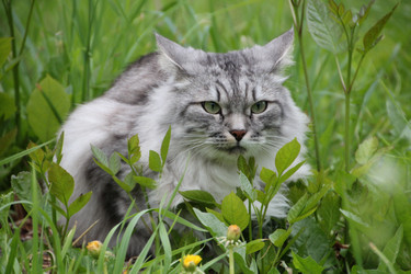 Similar image 21673868