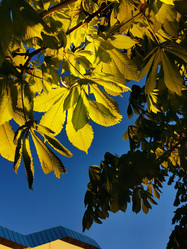 Similar image 21673870