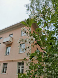 Similar image 21673871