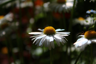 Similar image 21673882