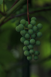 Similar image 21673883