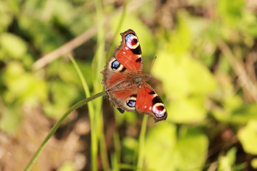 Similar image 21673884