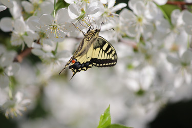 Similar image 21673886