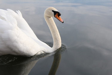 Similar image 21673888