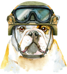 Similar image 21678044