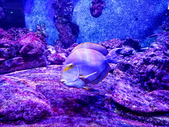 Similar image 21673651