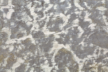 Similar image 21679518