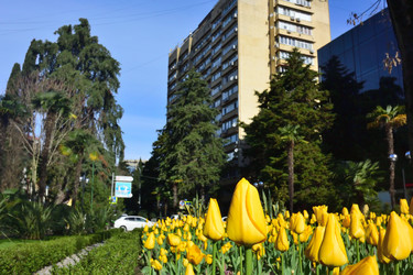 Similar image 21674211