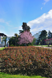 Similar image 21674214