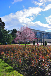 Similar image 21674215