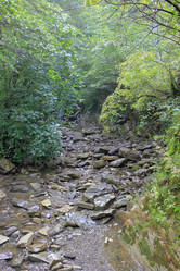 Similar image 21674221