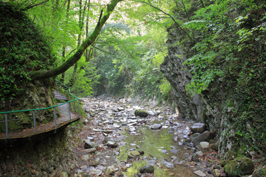 Similar image 21674224