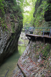 Similar image 21674225