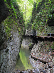 Similar image 21674230