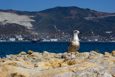 Similar image 21673873