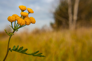 Similar image 21674234