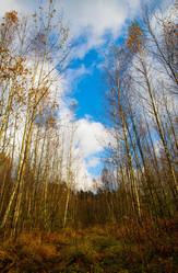 Similar image 21674235