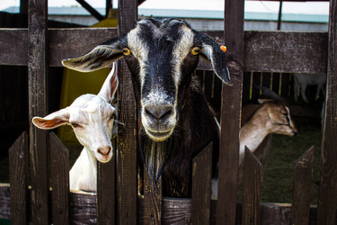 Similar image 21674421