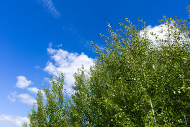 Similar image 21674237