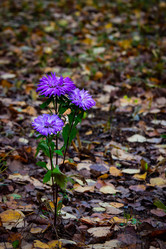 Similar image 21675191