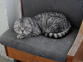 Similar image 21673880