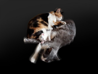 Similar image 21673881