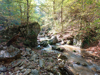 Similar image 21675193