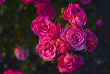 Similar image 21674423