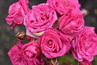 Similar image 21674425