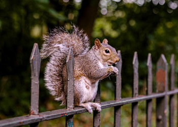 Similar image 21677368