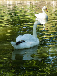 Similar image 21677179