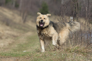 Similar image 21677181