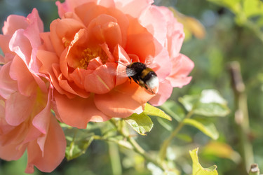 Similar image 21677183