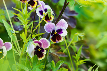 Similar image 21677185