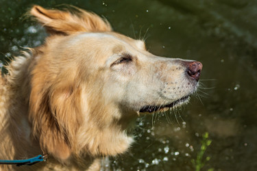 Similar image 21677186