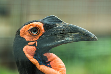 Similar image 21677188