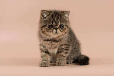 Similar image 21679649