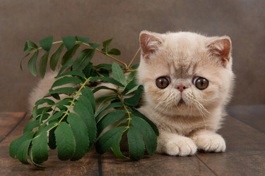 Similar image 21679650