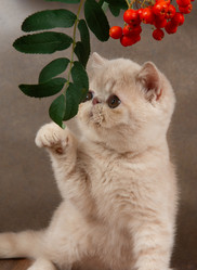 Similar image 21679651