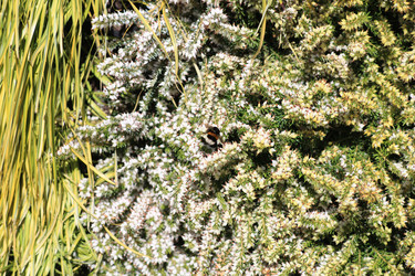 Similar image 21674445