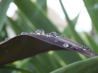 Similar image 21674695