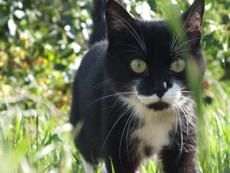 Similar image 21674696