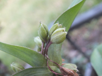 Similar image 21674697