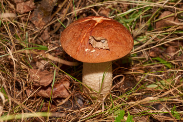 Similar image 21674448