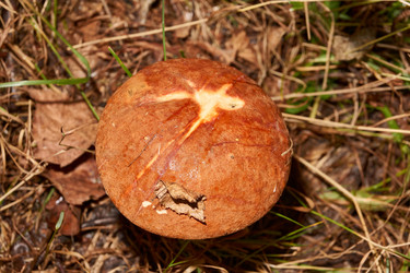 Similar image 21674449