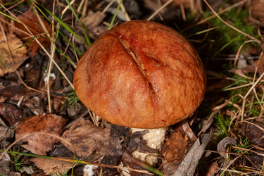 Similar image 21674451