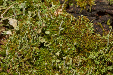 Similar image 21674452